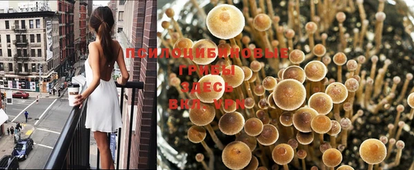 дживик Протвино